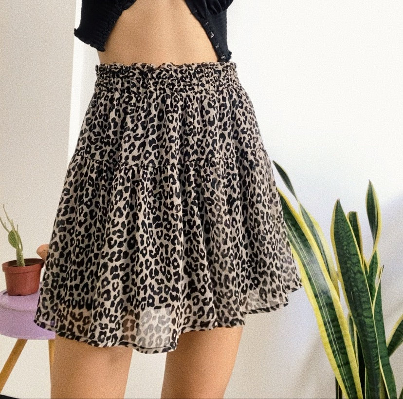 Saia "Leopardo"